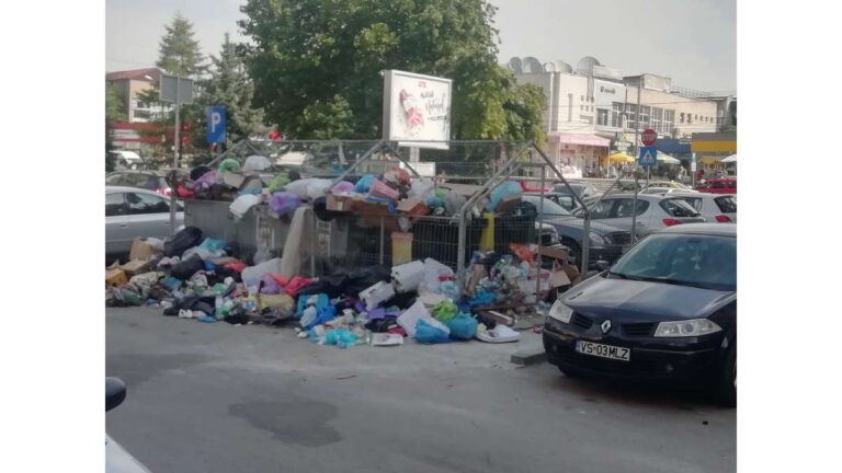 Vasluienii, sufocati sub tone de gunoaie neridicate. Rusine, Financiar Urban!