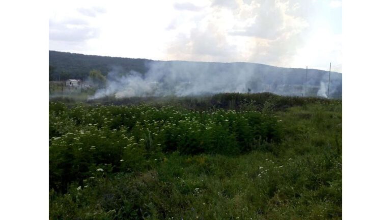 Alertă în Zona Industrială a Vasluiului, incendiu de vegetație uscată