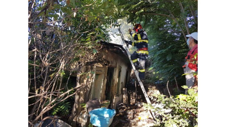Incendiu violent pe strada Cerbului, pompierii au salvat o casă