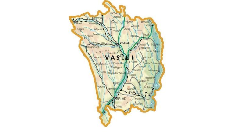 NOII PRIMARI VASLUIENI! PNL câștigă 23 de primării, ALDE – 4 primării, PSD – 59 de primării