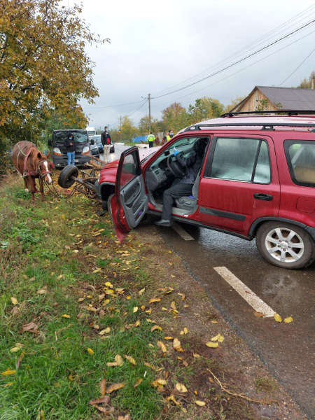 accident ratesu cuzei 2