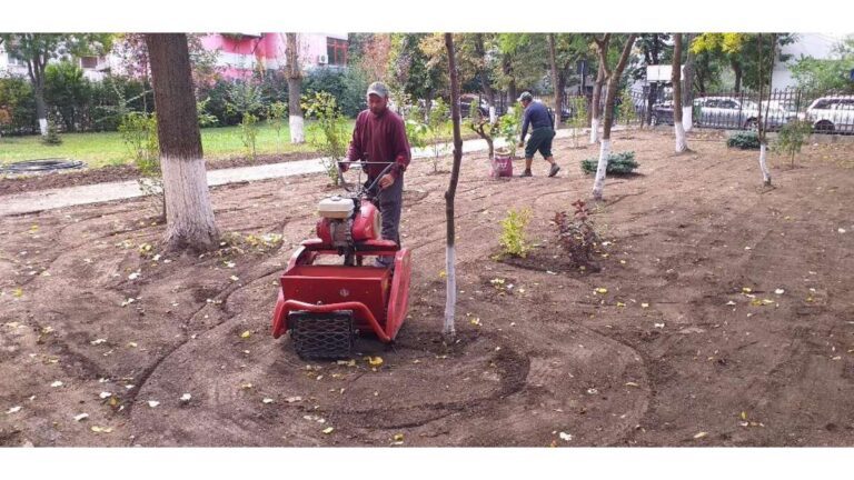 Povestea fascinantă a unor vasluieni inimoși, care fac din grădina Liceului „Emil Racoviță” un colț de Rai. La propriu!