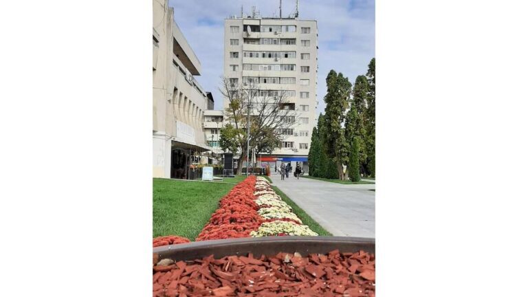 Vasluian, la pas prin orașul lui Tănase. Zero cheflii, zero violatori!