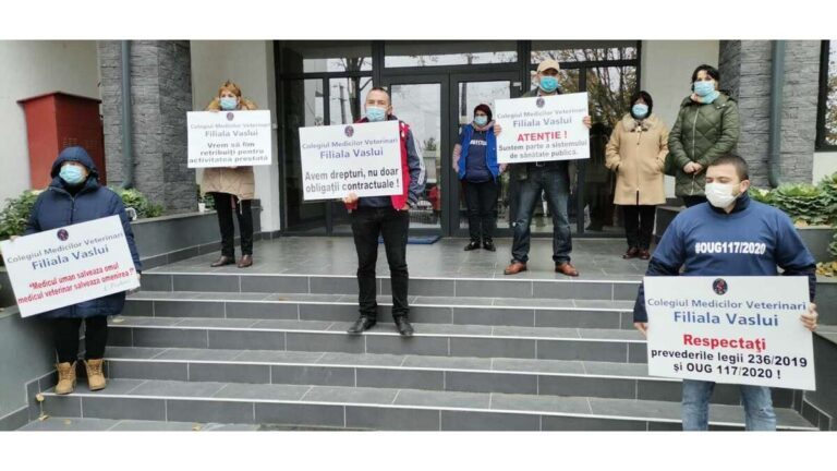 Medicii veterinari vasluieni au ajuns la capătul răbdării! „Nici cartea de muncă nu ne-o putem plăti!”