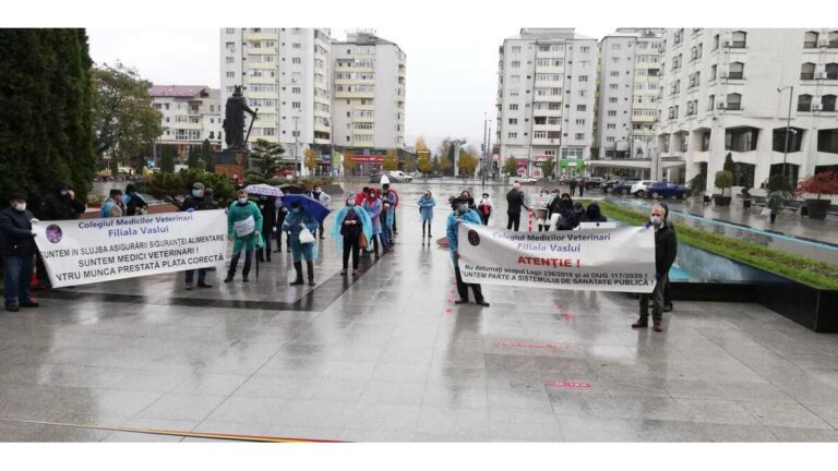 Protest la județ al medicilor veterinari! A fost un protest mut!