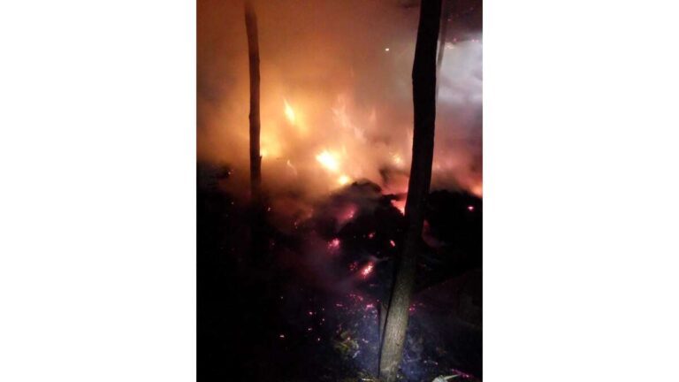 Incendiu în a doua zi de Crăciun! Au ars trei tone de furaje!