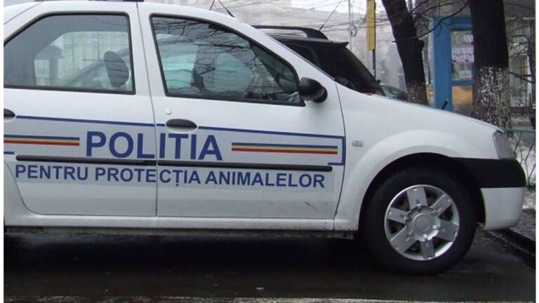 Se înființează Poliția Animalelor, la Vaslui! Se caută doi medici veterinari, pentru ofițeri!