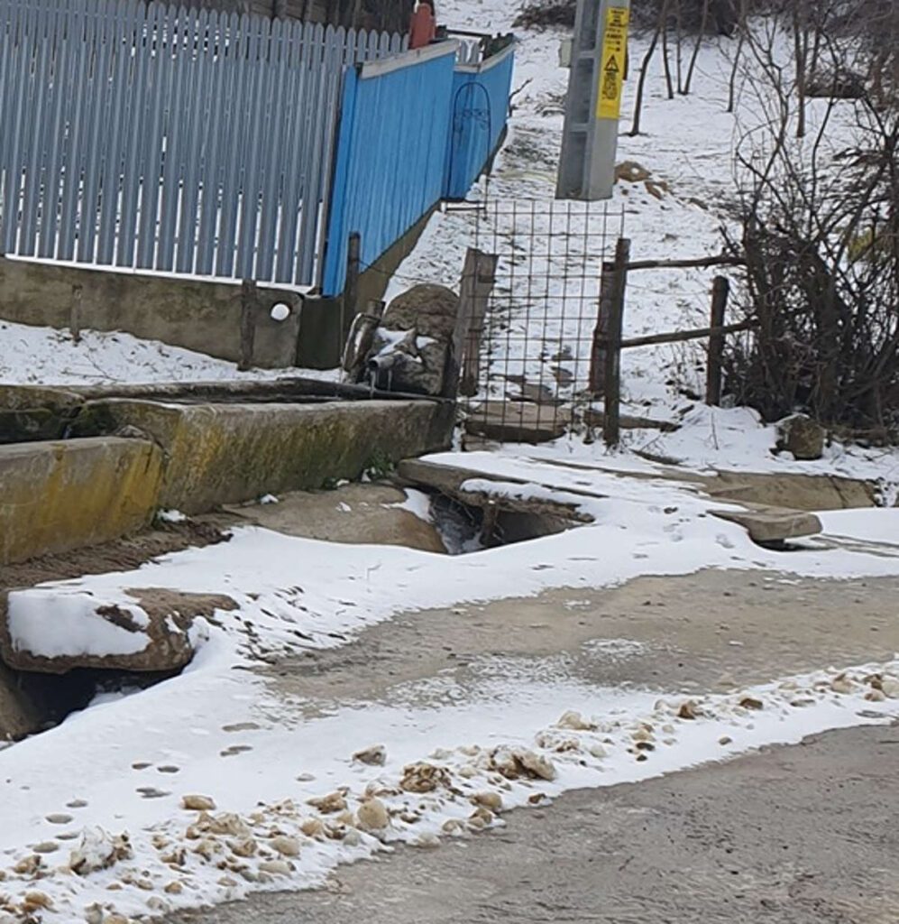 capul care scuipa apa detaliu