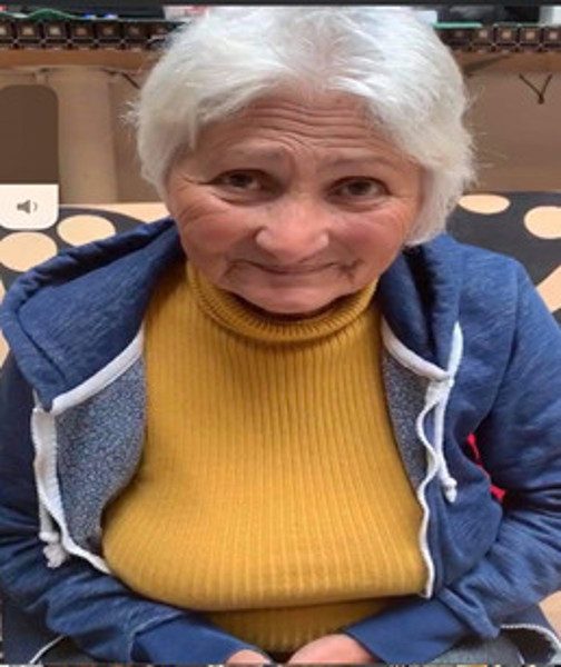 dula silvia lenuta