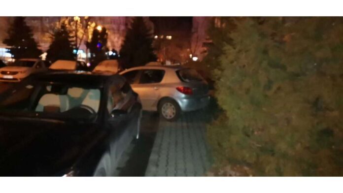 parcare_in_brad_vaslui