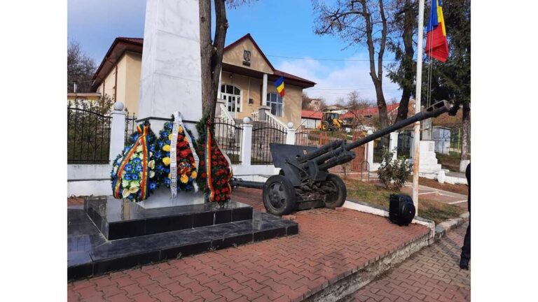 Un bărbat de 67 de ani, din Dumești, și-a înjunghiat fiul! A fost reținut de polițiștii din Negrești!