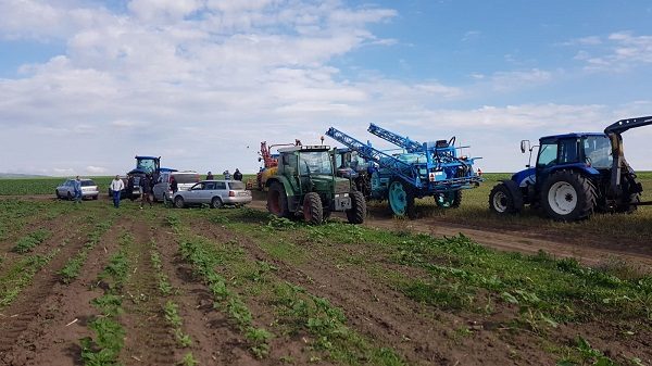 Pe surse: administratorii Comcereal strâng mii de hectare „din pix”, pentru subvenții! Comcereal nu lucrează niciun mp de teren, cu utilaje proprii!