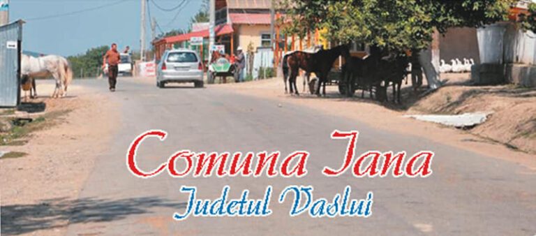 O gașcă de bătăuși din Iana a distrus un bar din sat! Cinci dintre ei sunt sub control judiciar!