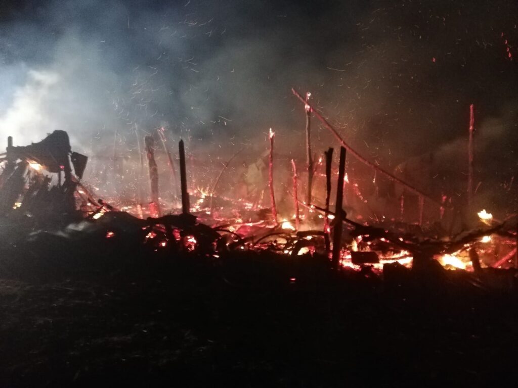 Trei oi au fost carbonizate într-un incendiu, la Ivesti! La un pas de dezastru! 1 WhatsApp Image 2021 04 06 at 22.22.37