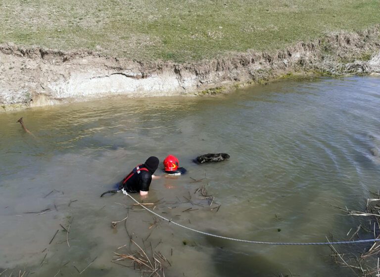 ACUM Un cal a cãzut cu tot cu caruta în raul Bârlad! Pompierii vasluieni au salvat calul, în extremis!