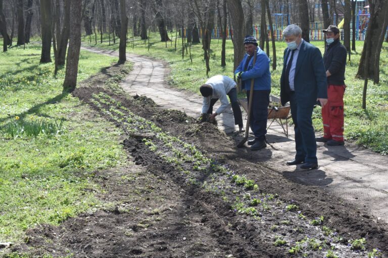 Primãvarã de vis în Grãdina Publicã din Bârlad! Este începutul viitoarei Grãdini Botanice!