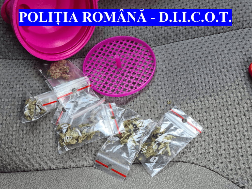 diicot