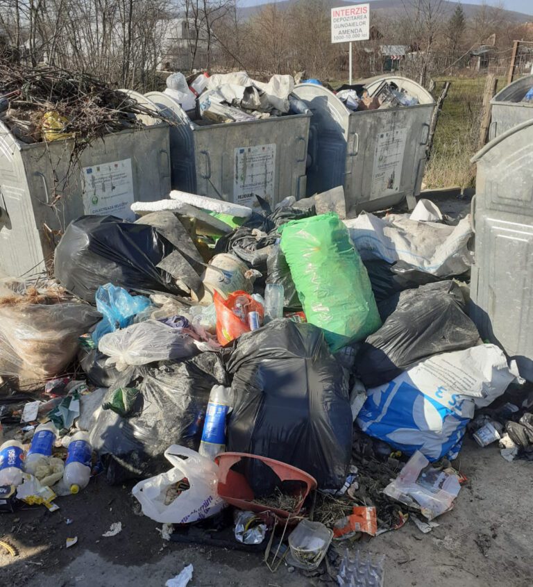 Capre si gãini moarte, aruncate în containere! Halal, colectare selectivã în mediul rural!