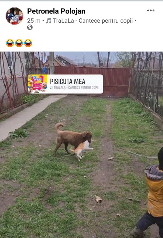 poza 1