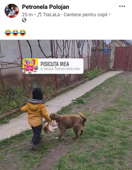 poza1 1