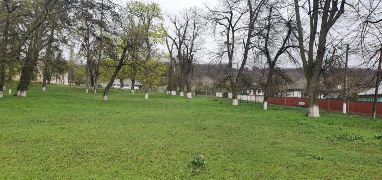 NOAPTEA MINTII: În loc sã dea bani pentru dezvoltare, primarul comunei Tãcuta cheltuie miliarde de lei pe WC-uri!