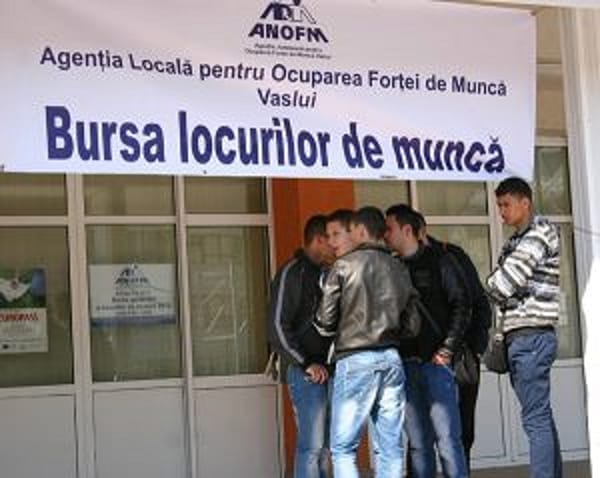 Locuri de munca Husi