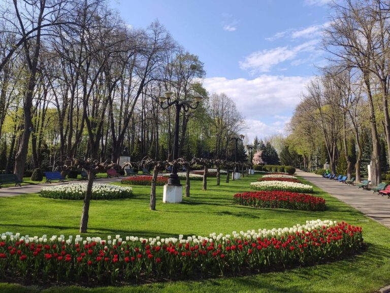 Parcul Copou va fi asaltat de zeci de copii, pe 1 iunie! Desene pe asfalt si voie bunã!