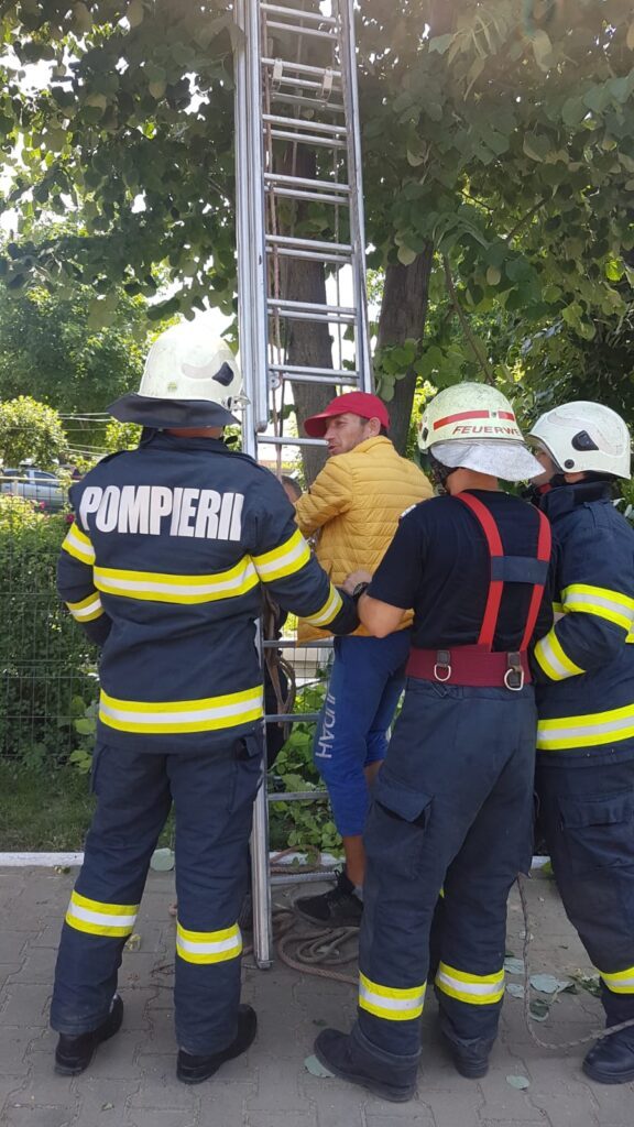 VIDEO Un bezmetic a urcat 12 metri într-un tei, după care a sunat la 112! Pompierii militari vasluieni l-au dat jos din copac! 1 barbat banca isu tei