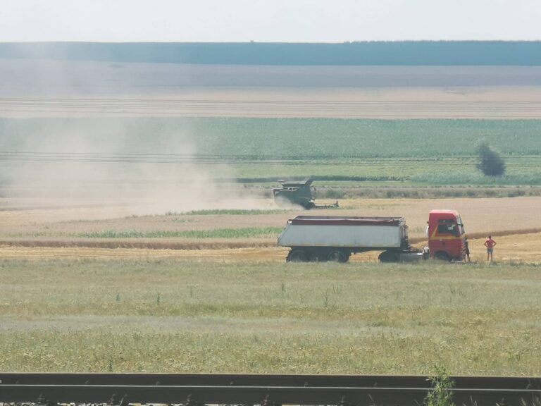 Zi de foc pentru agricultura vasluianã! Combinele încep recoltatul grâului