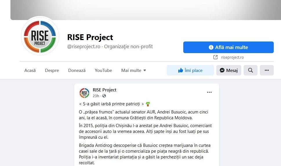 andrei busuioc rise project
