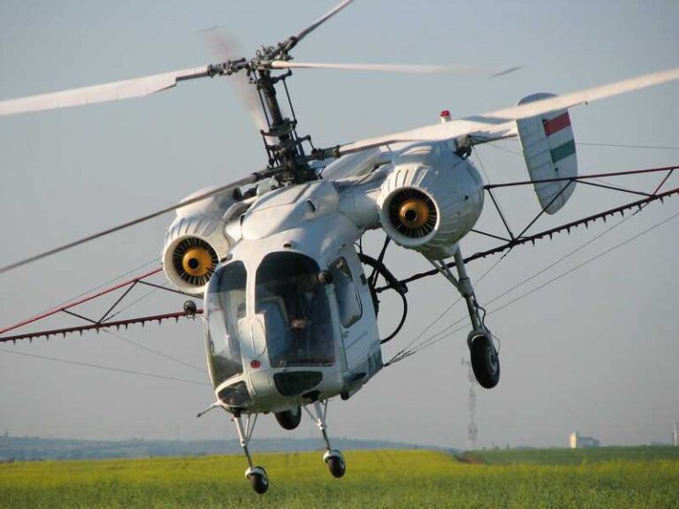 Primarul Ciupilan a pus gând roiurilor de țânțari care au invadat Hușul! Se vor face stropiri din elicopter!