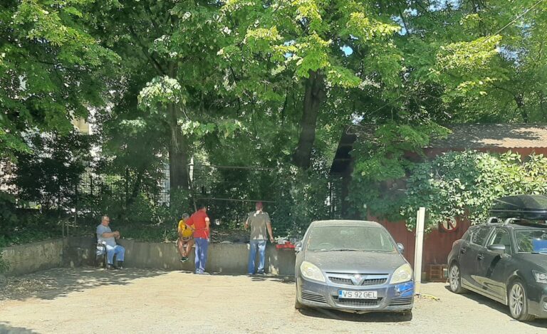 (FOTO, VIDEO) Au sfidat orice regulă de bun simț și au făcut grătar în mijlocul orașului