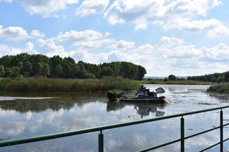 FOTO Prodana, un lac superb, pentru toți bârlădenii! Primarul Bârladului, prezent la lucrările de decolmatare!