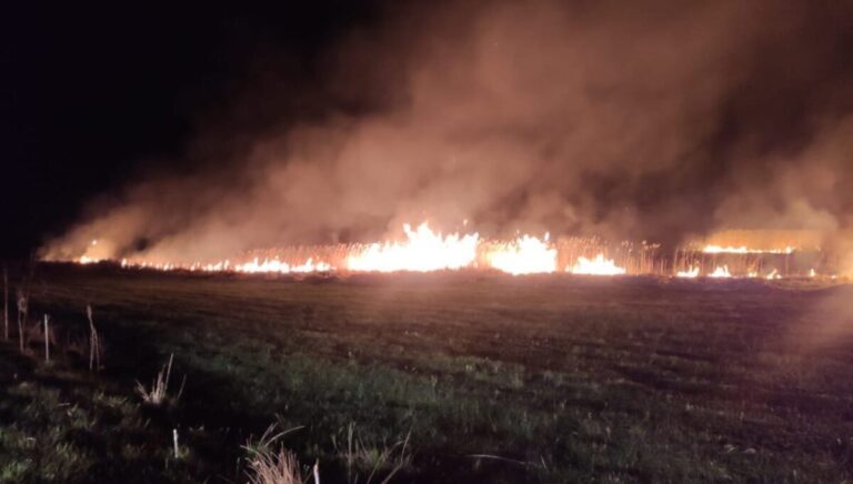 Arde vegetația uscată în satul Strâmtura, în apropiere de Bârlad! Nu sunt victime!