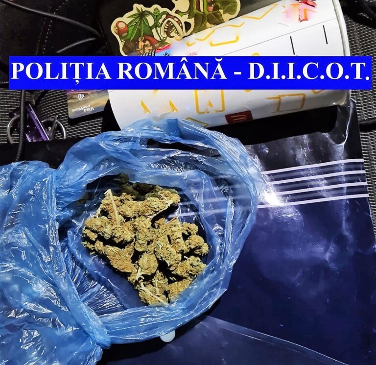 ULTIMA ORĂ Tineri din Vaslui, Huși și Iași prinși cu droguri asupra lor! Rețea care acționa în cele două județe, destructurată!