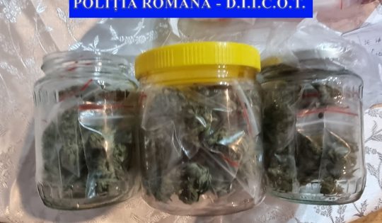Traficanți de droguri din județil vecin, luați pe sus de polițiști