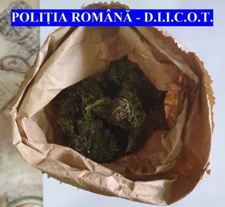 Hușenii au rămas fără droguri! Traficanții au ajuns pe mâna polițiștilor