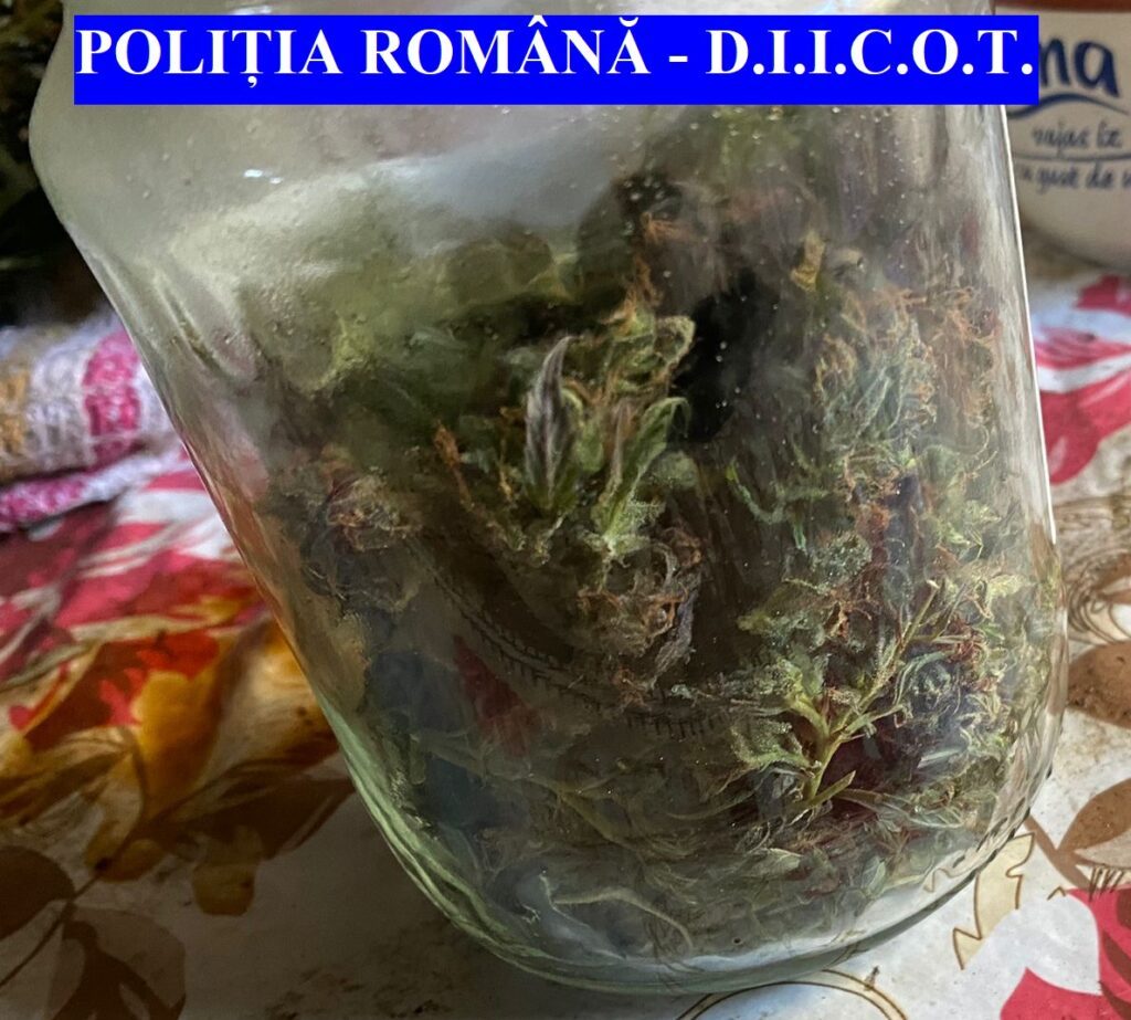 Traficanți de droguri luați pe sus de polițiști. Unul dintre ei avea doar 17 ani 1 Foto SCCO Vaslui 3