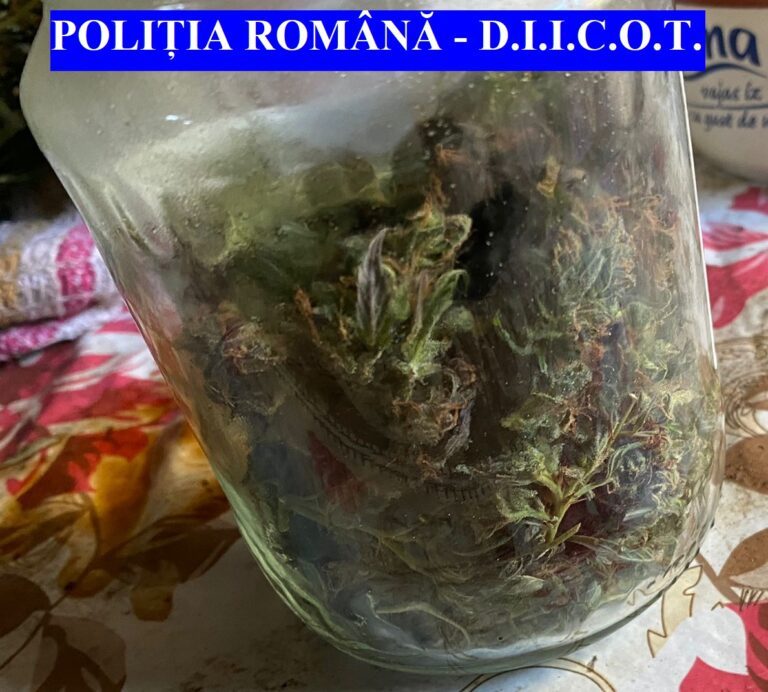 Traficanți de droguri luați pe sus de polițiști. Unul dintre ei avea doar 17 ani