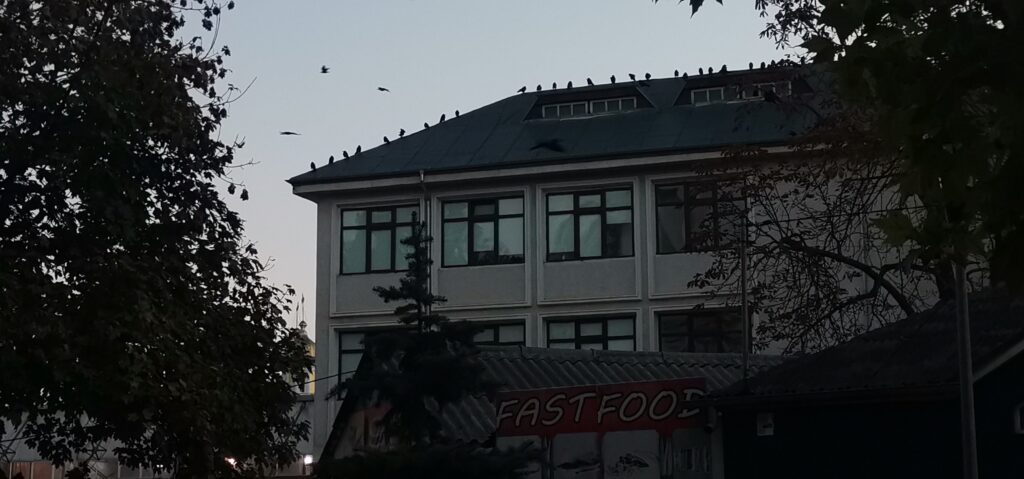 IMG 20211020 072413