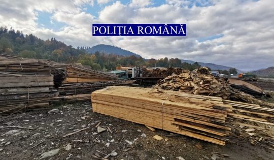 (VIDEO) Hoții de lemne, în vizorul polițiștilor! Controale la ocoalele silvice!