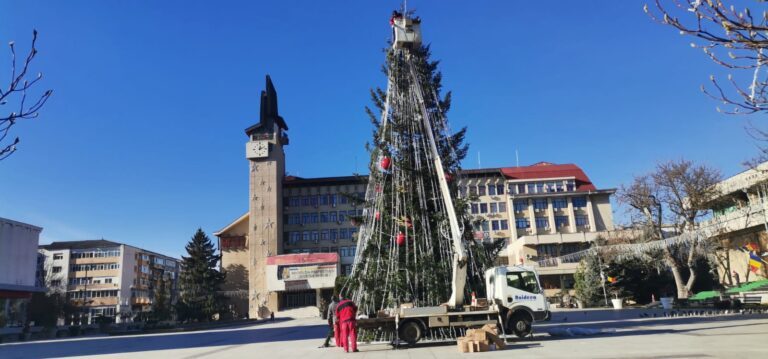 A început îmbodobirea bradului montat în Centrul Civic. Ultimele pregătiri pentru 1 Decembrie