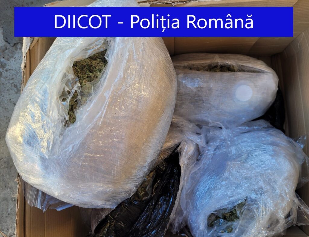 Traficant de droguri prins în flagrant cu 10 kg de cannabis asupra sa 1 WhatsApp Image 2021 11 12 at 10.17.05