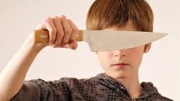 INCREDIBIL…Un cuțitar de 13 ani din comuna Iana a semănat panică printre vecini. O familie a ajuns la spital pentru că i-au cerut să dea muzica mai încet