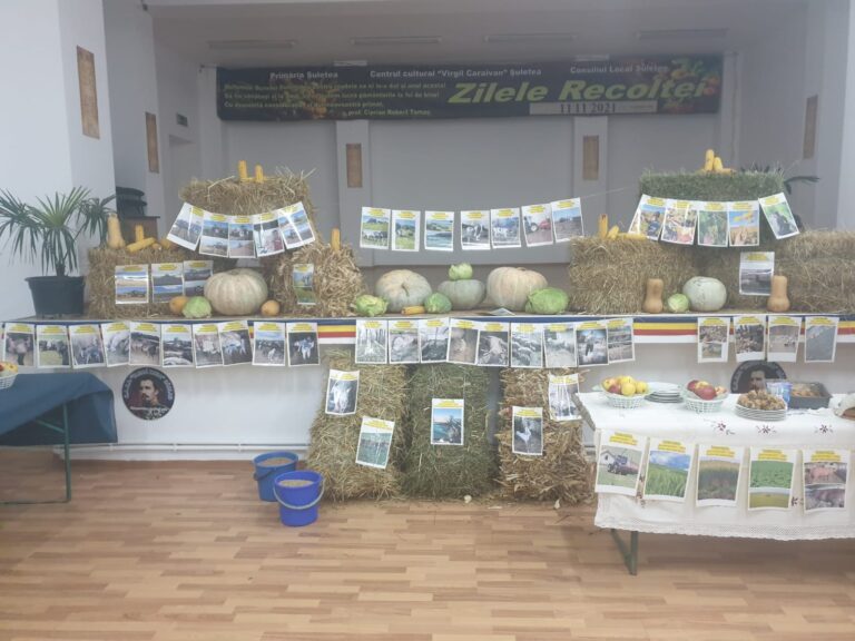 Șuletea are cu ce se mândri! Peste 40 de fermierii și-au expus produsele de Ziua Recoltei