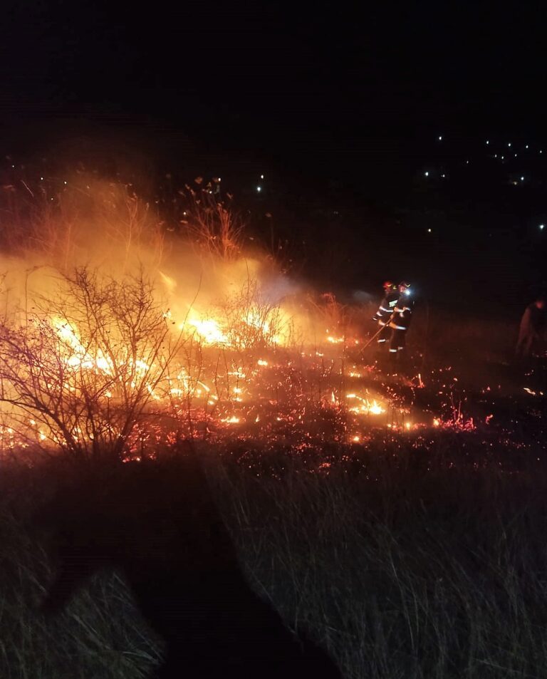 VIDEO Incendiu de proporții la Duda Epureni! Aproape 3 hectare de teren au ars complet! Foc pus intenționat de un localnic!