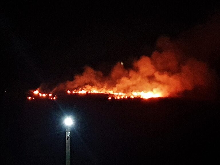 Flăcări uriașe pe cerul Murgeniului! Un localnic a incendiat vegetația uscată!