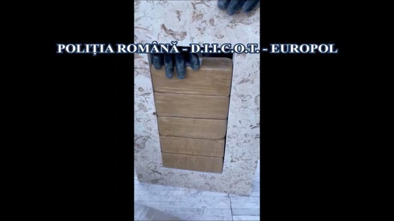 Dosarul capturii istorice de droguri din Portul Constanța a ajuns în instanță. Magistrații Tribunalului București vor judeca inculpații
