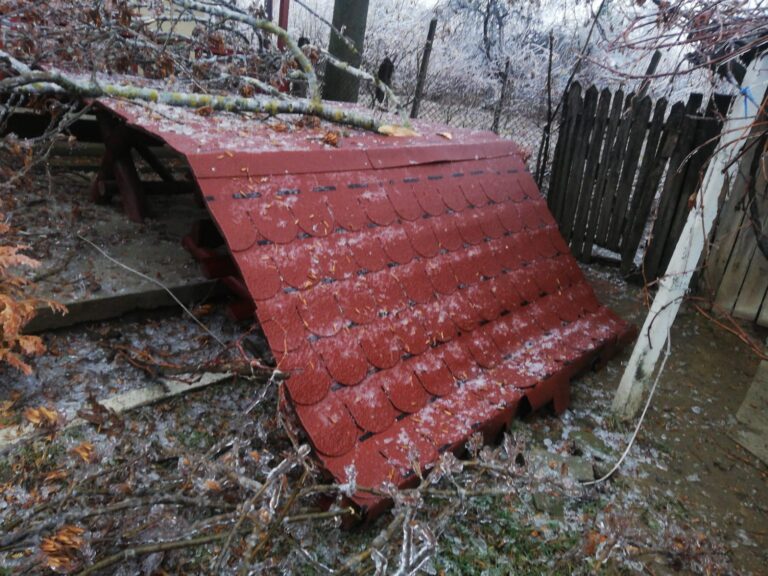 Ploaia înghețată de ieri a făcut ravagii în județ. Copaci și fire electrice puse la pământ