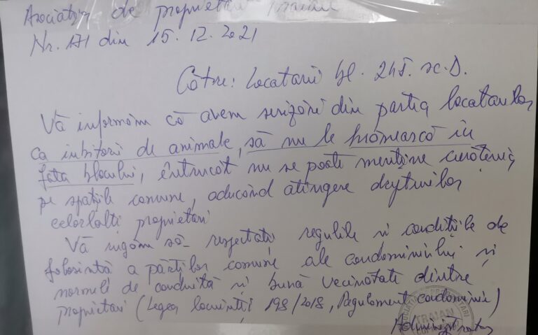 O asociație din Vaslui interzice hrănirea pisicilor pe motiv de curățenie! „Chiar am innebunit cu toții in Vasluiul asta?”